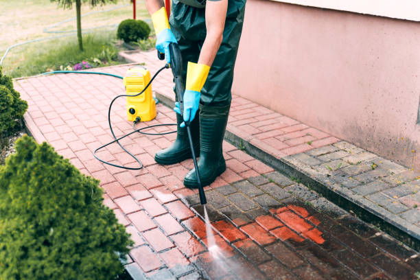 Animal Enclosure Cleaning in Garden View, PA